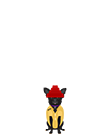 Lando